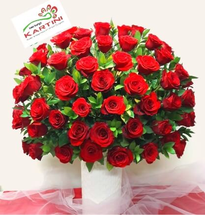 img-product-4